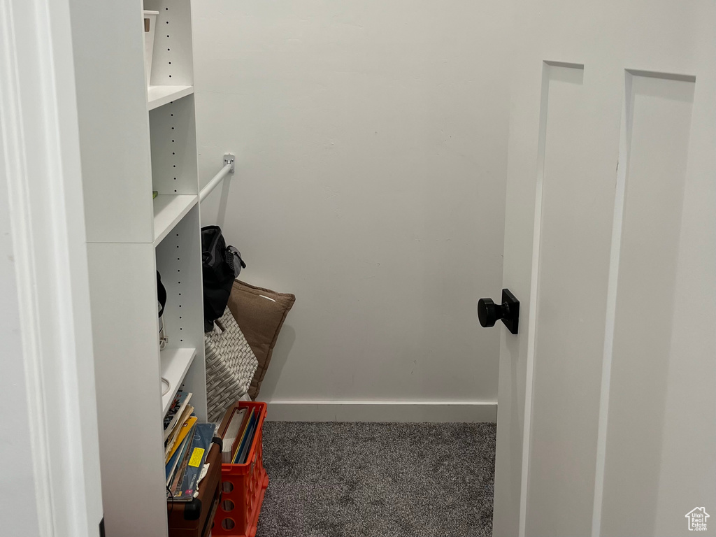 Walk in closet featuring carpet flooring