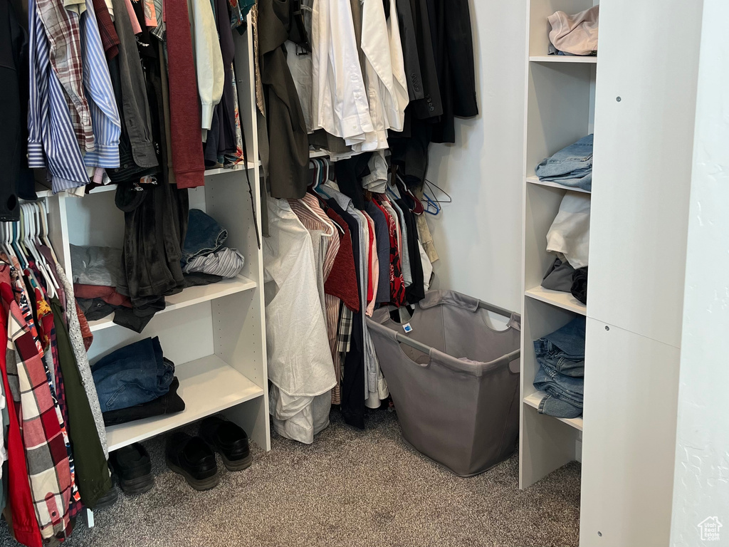 Spacious closet featuring carpet flooring