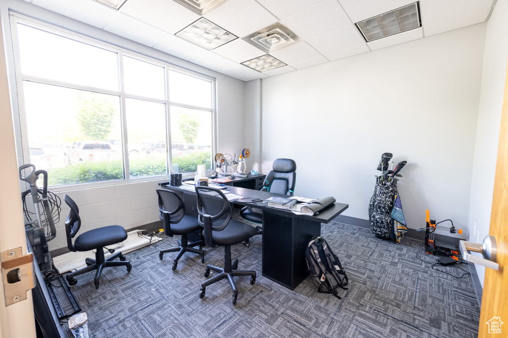 Office with carpet and a drop ceiling