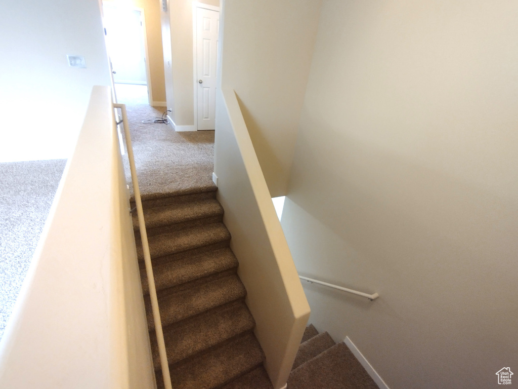 Stairs with carpet floors and baseboards