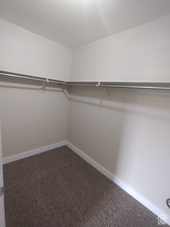 Walk in closet with dark colored carpet