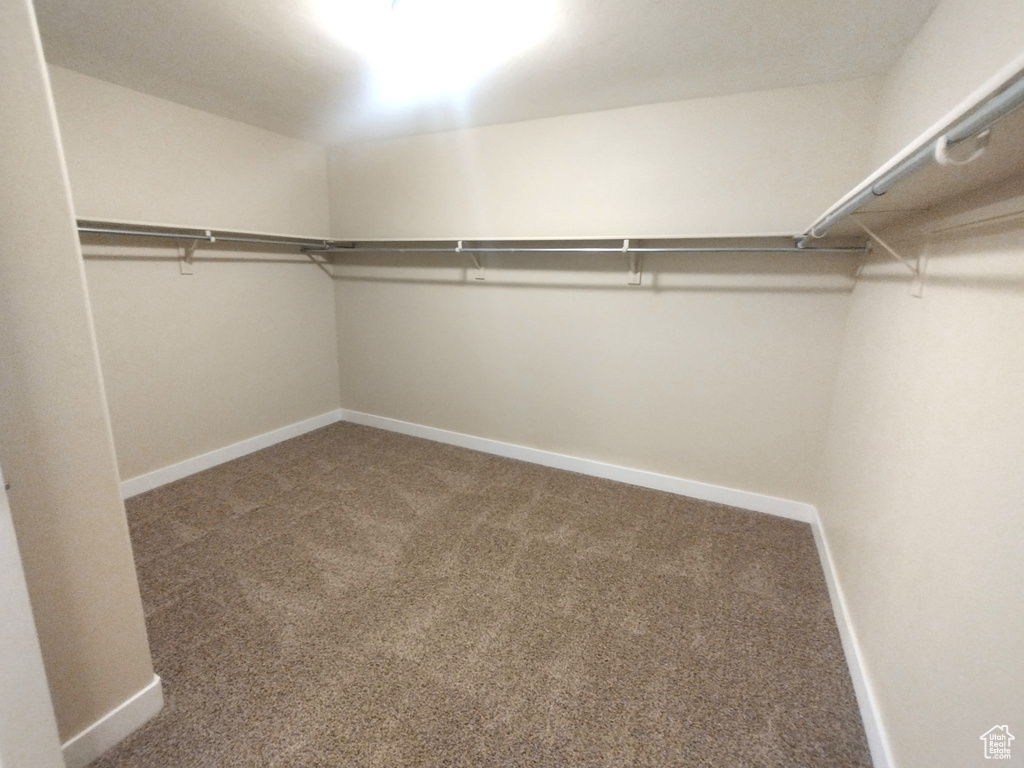 Walk in closet with carpet flooring