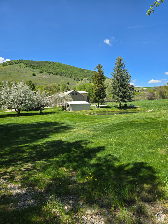 View of green lawn with a rural view