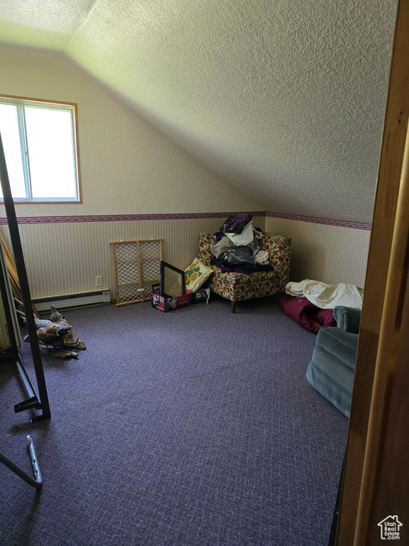 Additional living space featuring baseboard heating, a textured ceiling, vaulted ceiling, wainscoting, and carpet floors