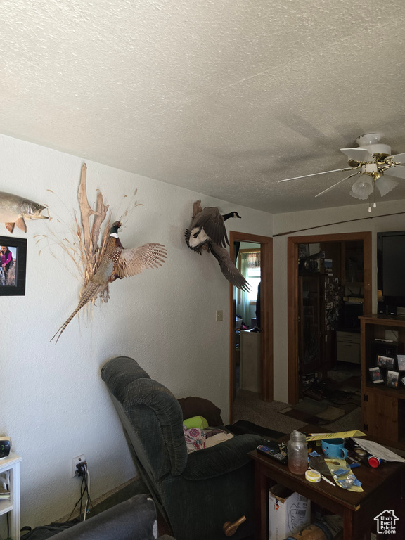 Living area featuring a textured ceiling and ceiling fan