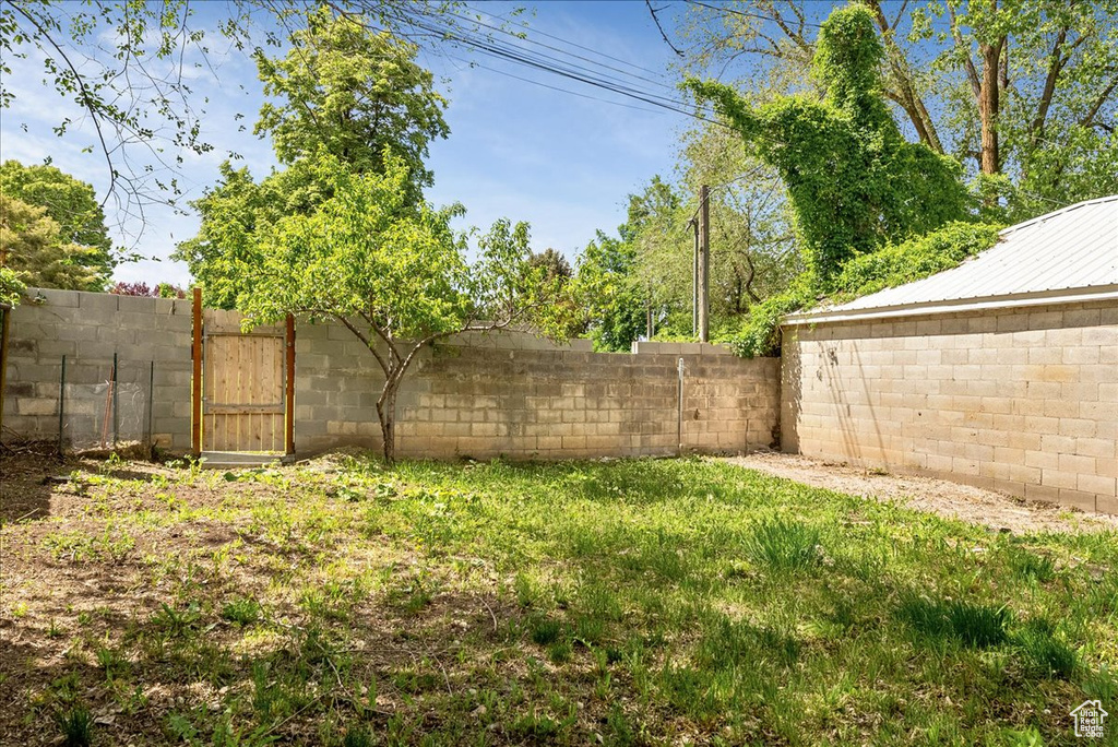 View of fenced backyard