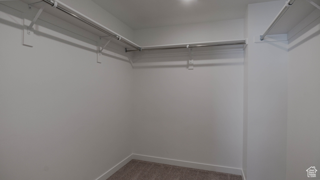 Walk in closet with carpet floors