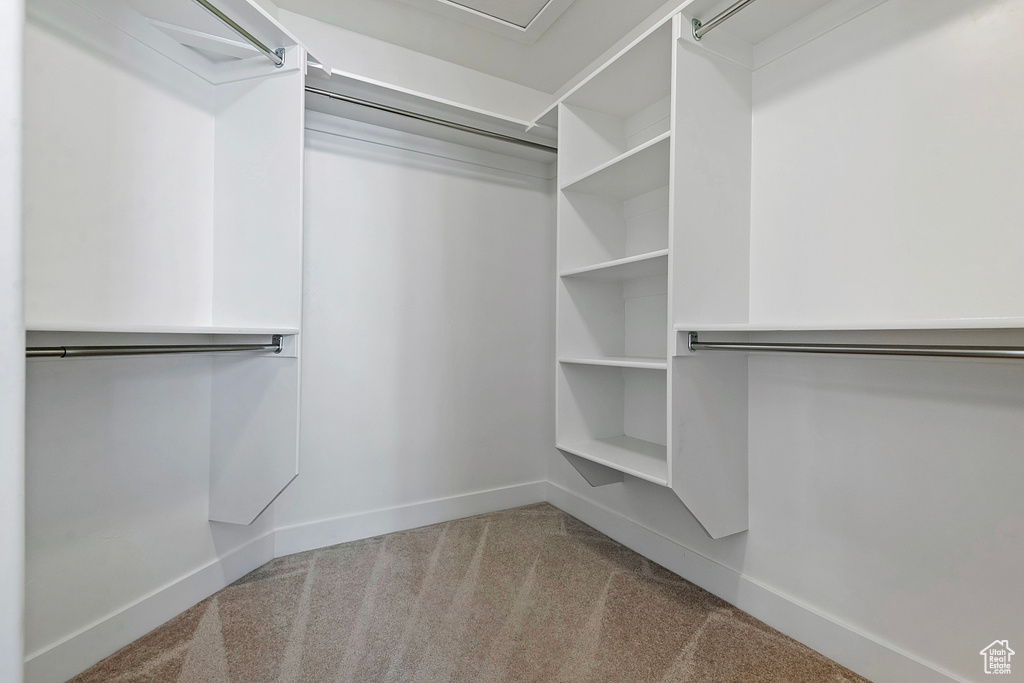 Walk in closet featuring carpet floors