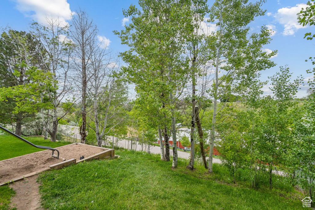 View of grassy yard