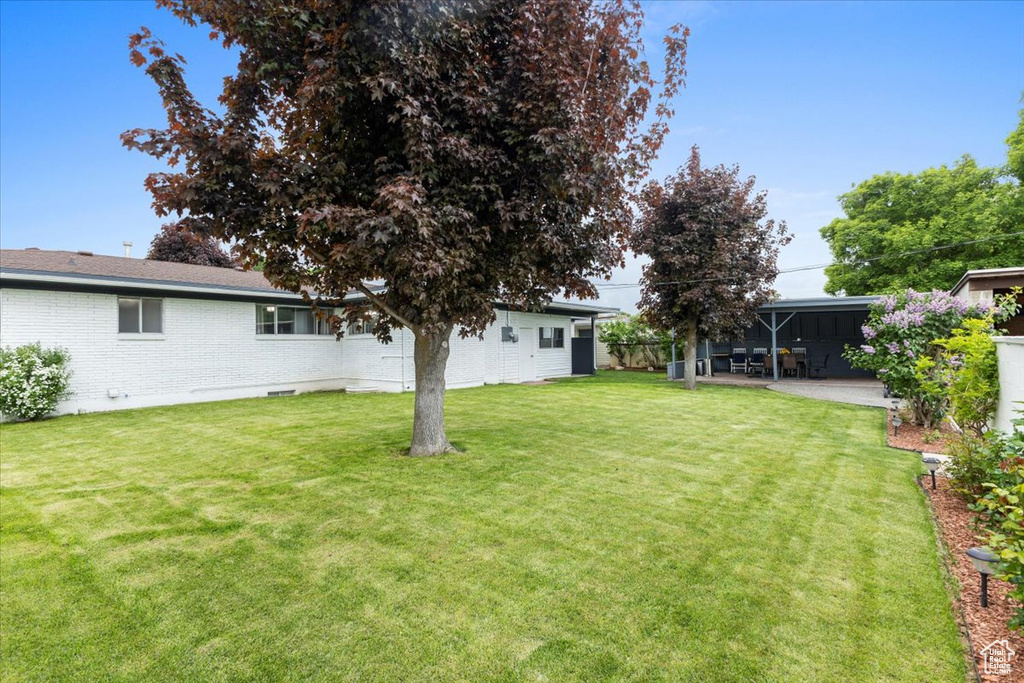 View of yard with a patio area