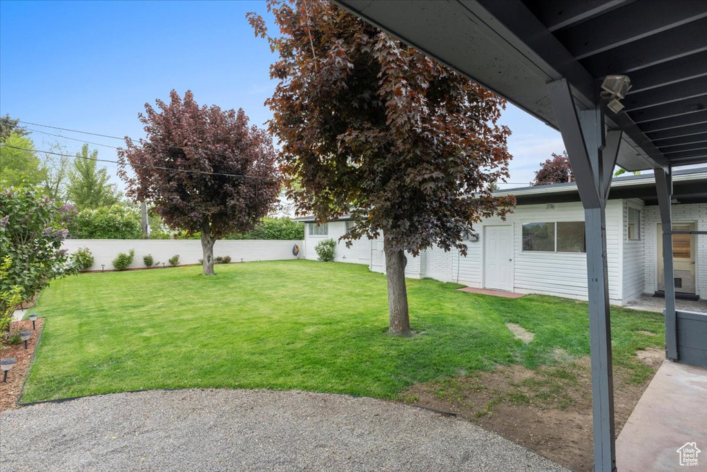 View of yard with a patio