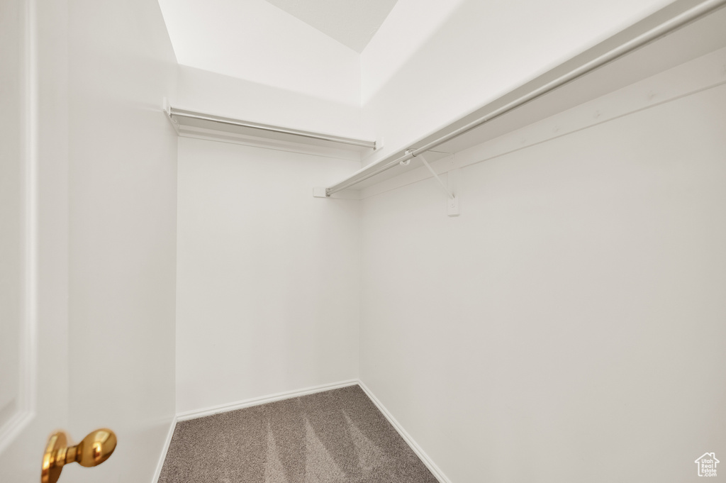 Walk in closet featuring carpet floors