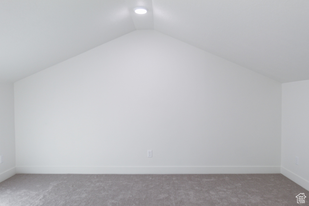 Additional living space with carpet floors, lofted ceiling, and baseboards