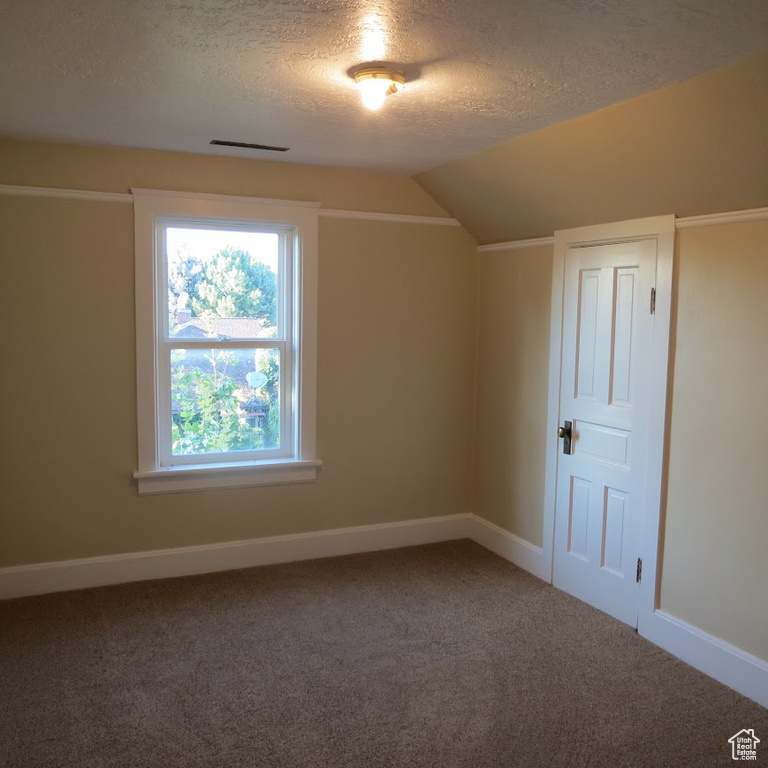 Additional living space featuring a textured ceiling, carpet floors, lofted ceiling, and baseboards