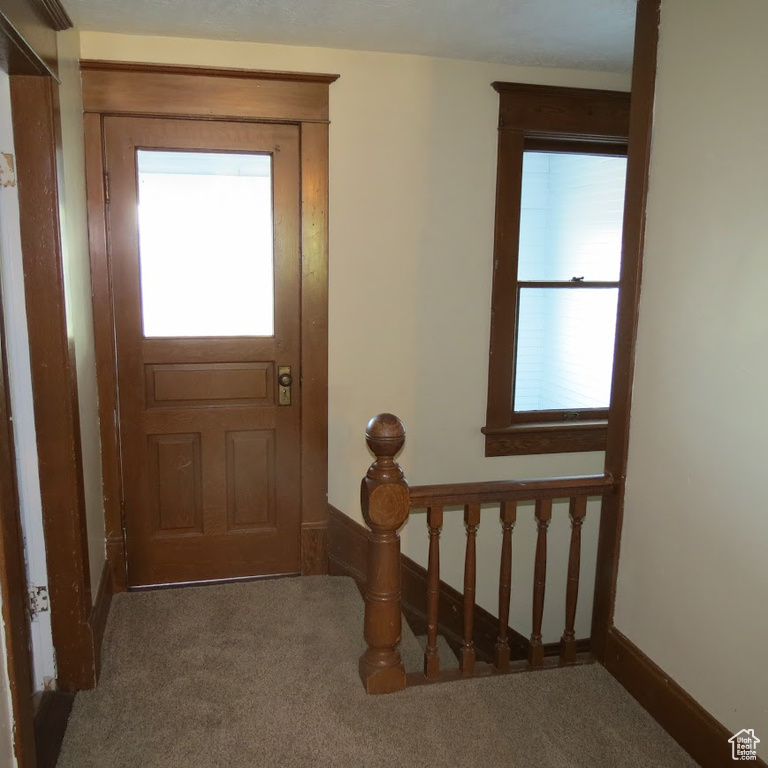 Carpeted foyer entrance with healthy amount of natural light and baseboards