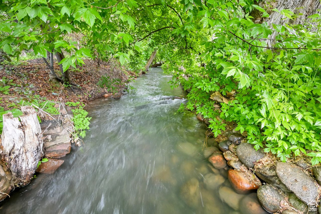 Water view