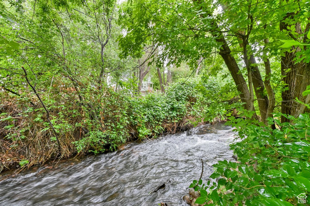 View of undeveloped land