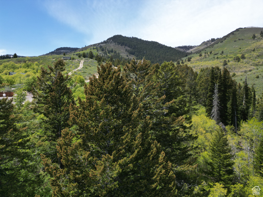 View of mountain backdrop featuring a forest