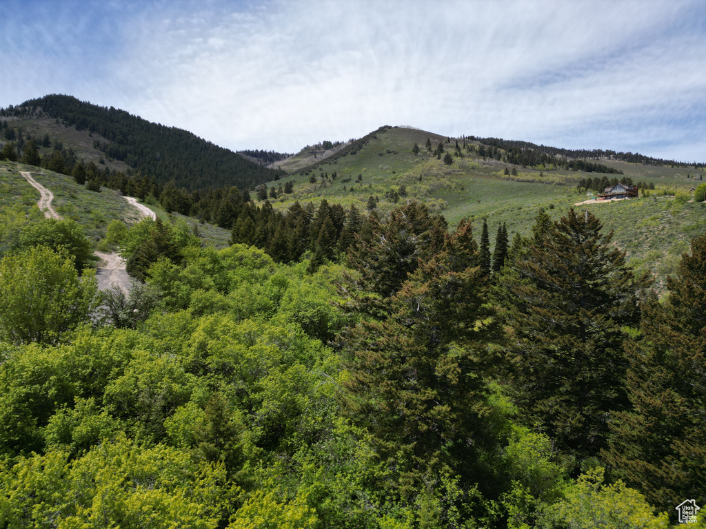 Mountain view