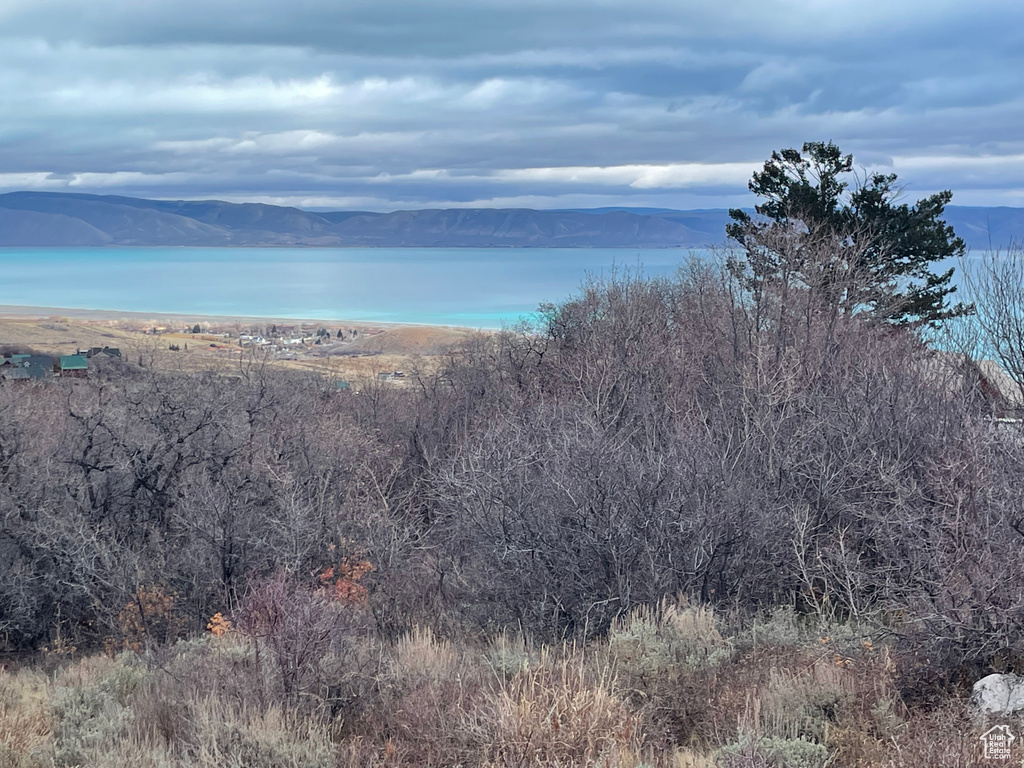 Water view featuring a mountainous background