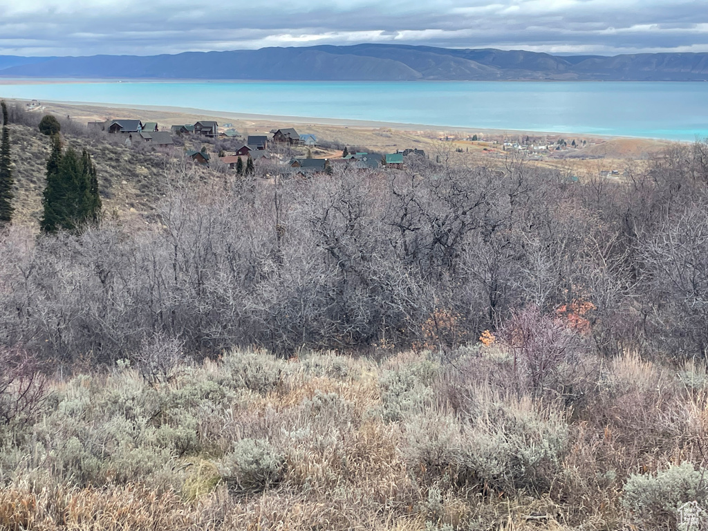 Water view with a mountainous background