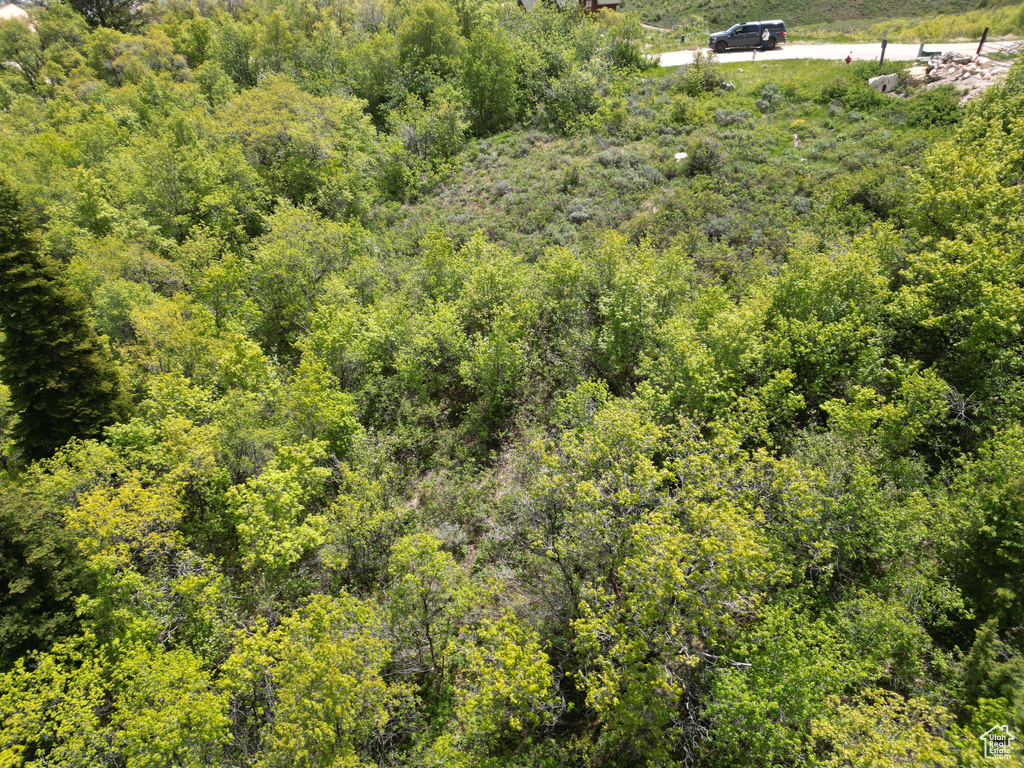 Aerial view of a heavily wooded area
