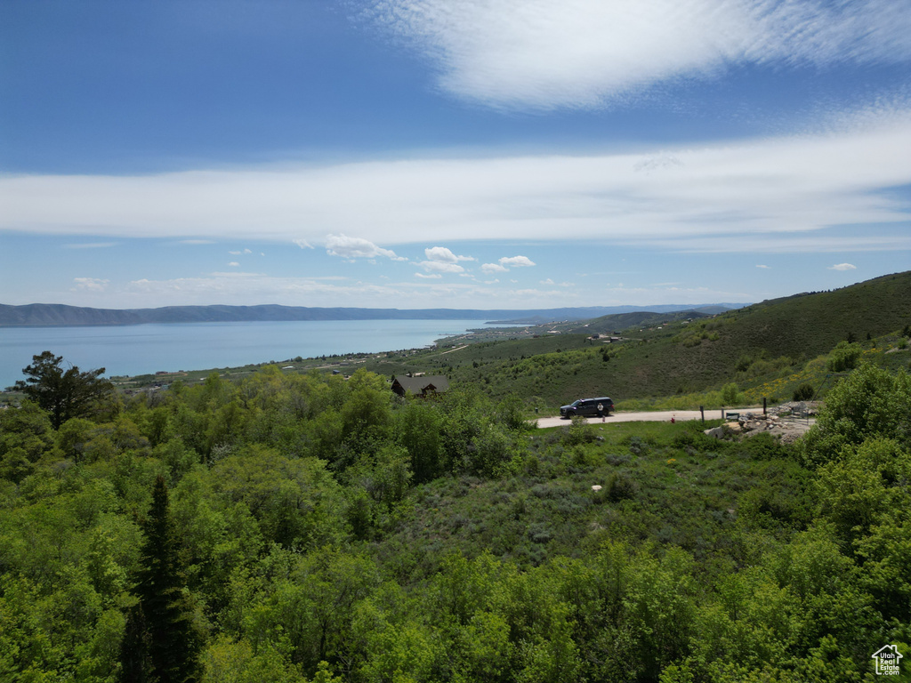 Water view with a mountainous background and a heavily wooded area
