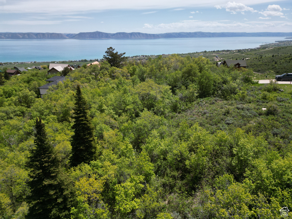 Aerial view of a water and mountain view