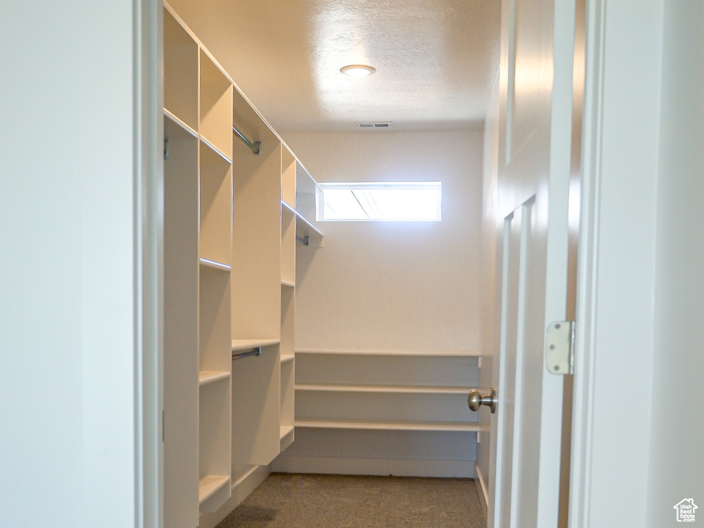 Spacious closet with carpet flooring