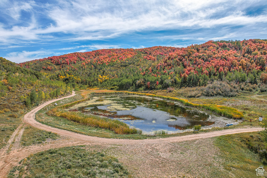 Mountain view featuring a forest and a nearby body of water