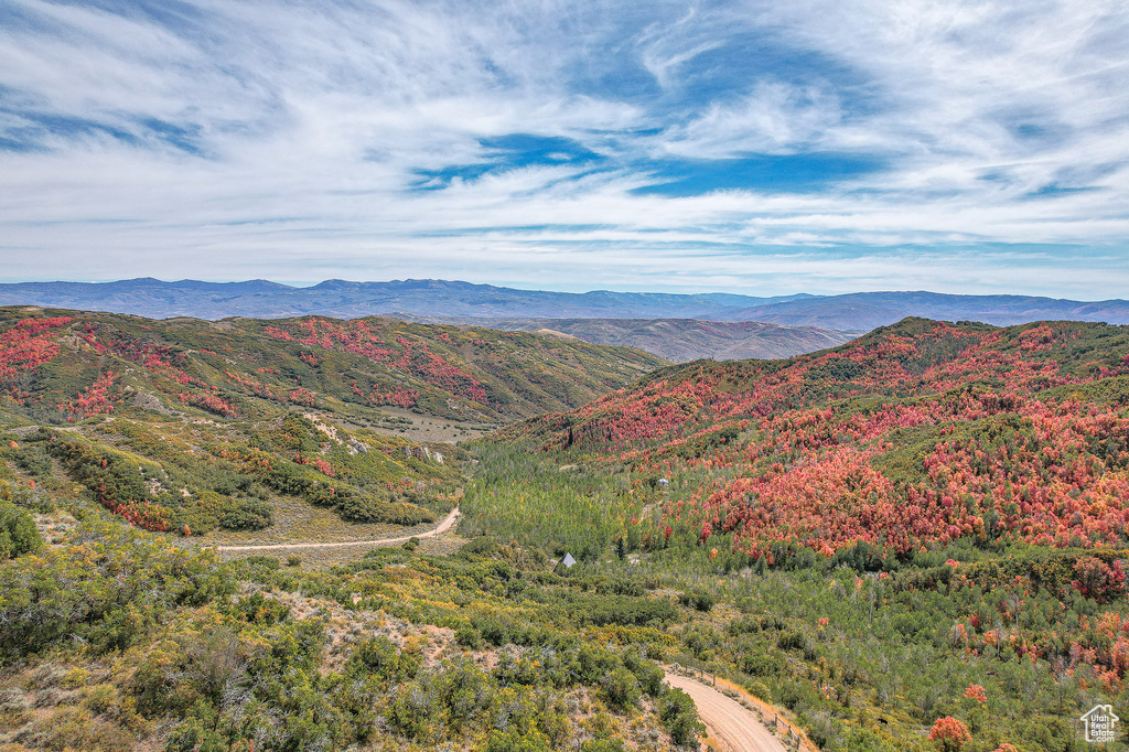 View of mountain background featuring a heavily wooded area