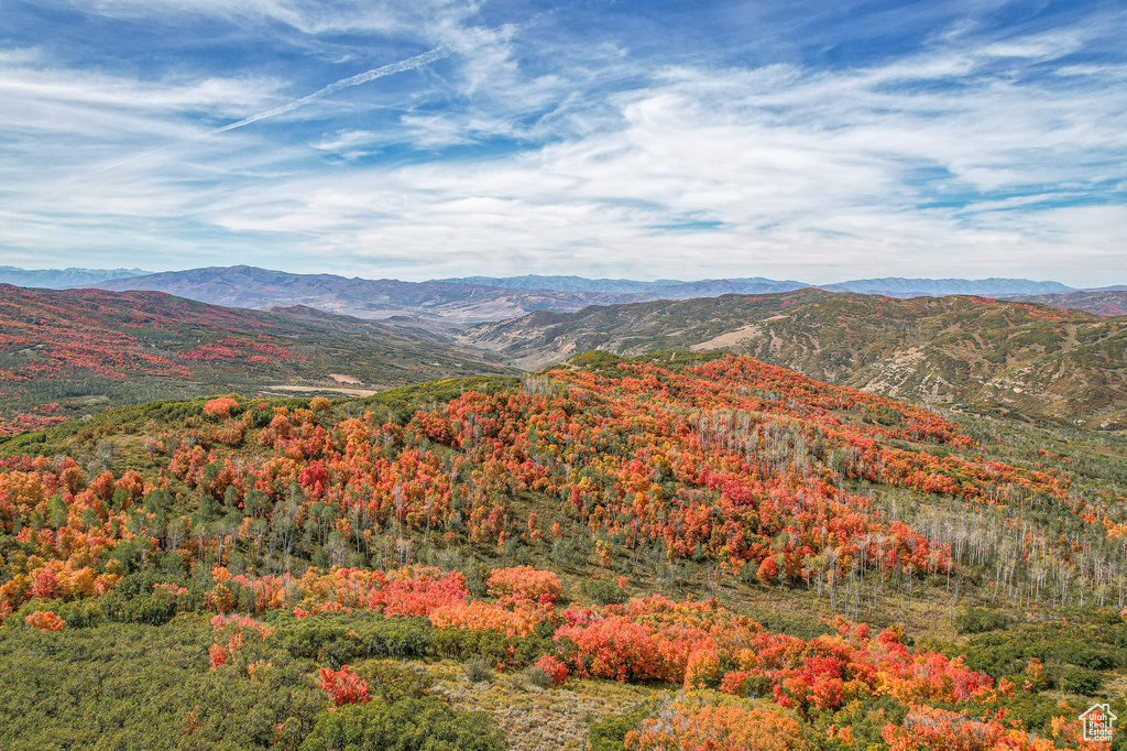 View of mountain backdrop with a heavily wooded area