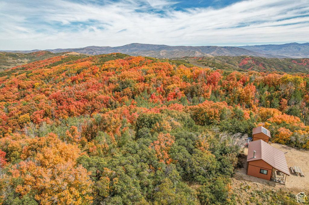 Aerial view of a forest and mountains