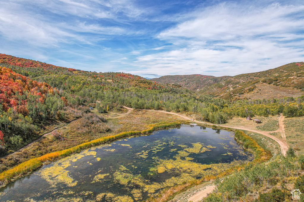 Aerial view of a forest and a water and mountain view