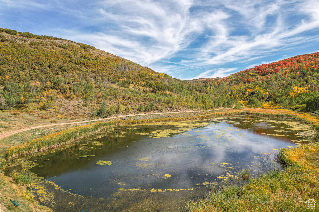 Water view with a mountainous background and a forest