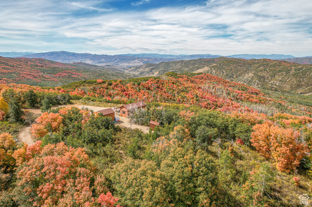 Mountain view with a heavily wooded area