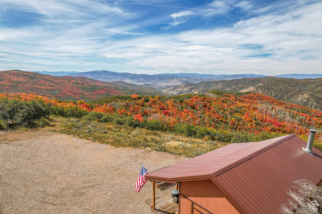 View of mountain background with a heavily wooded area
