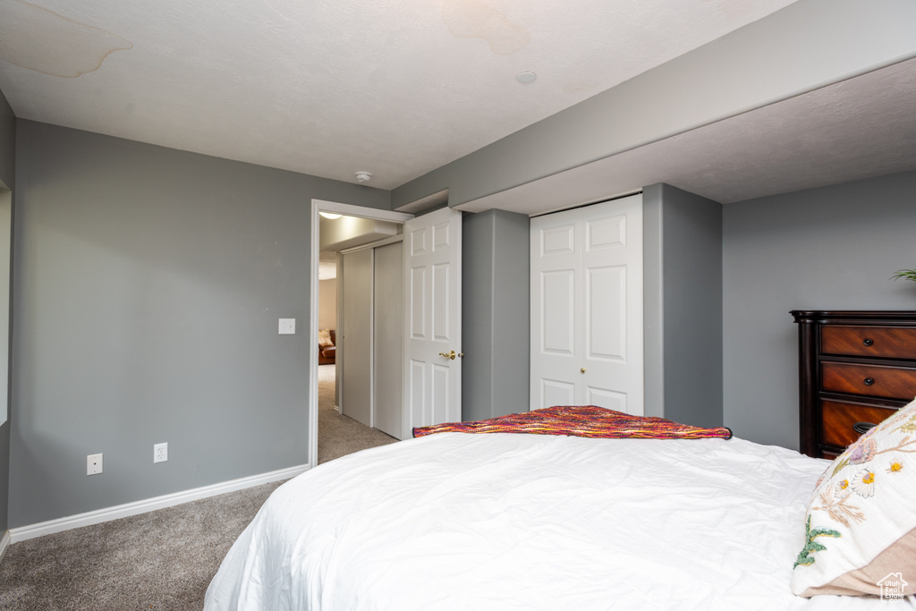 Carpeted bedroom featuring baseboards and a closet