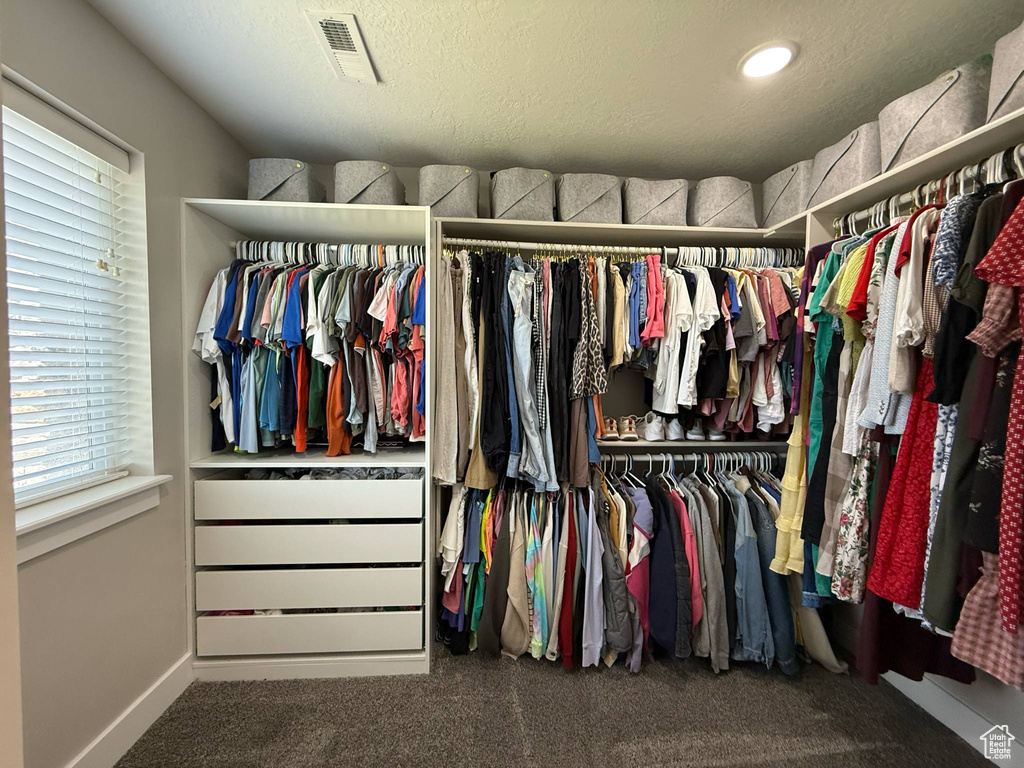 Walk in closet featuring carpet