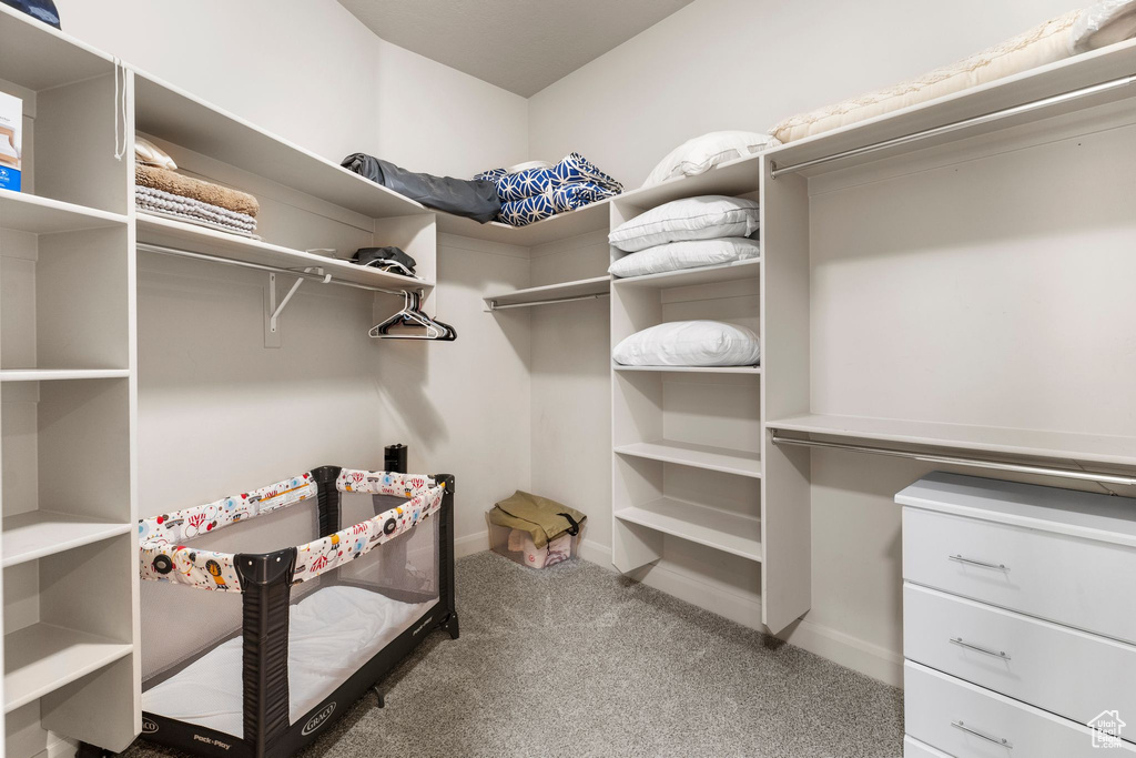 Spacious closet featuring carpet
