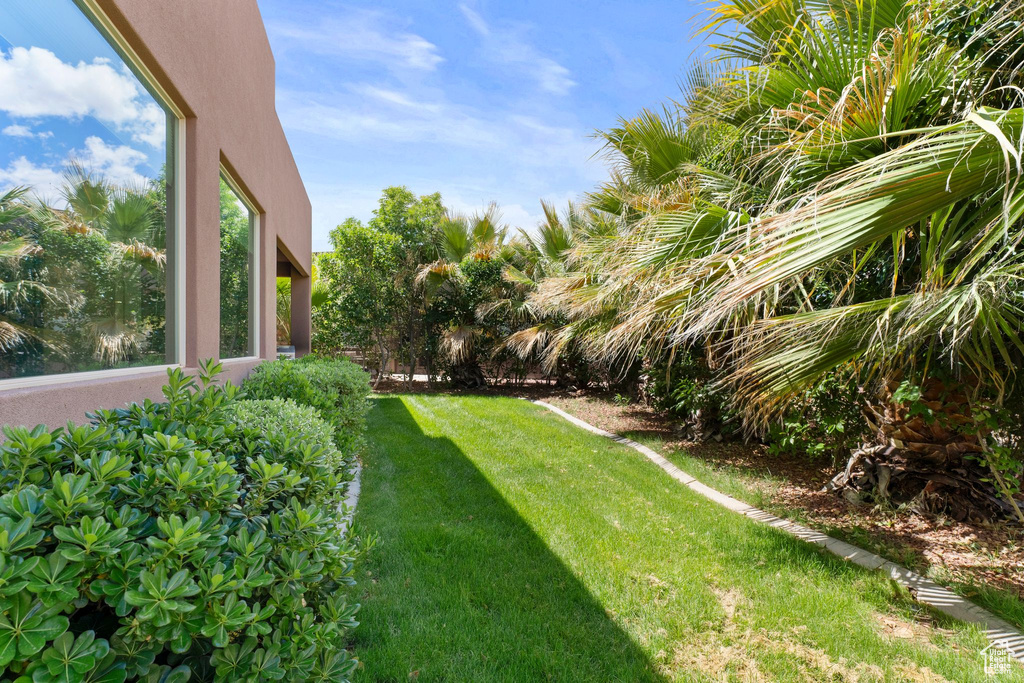 View of grassy yard