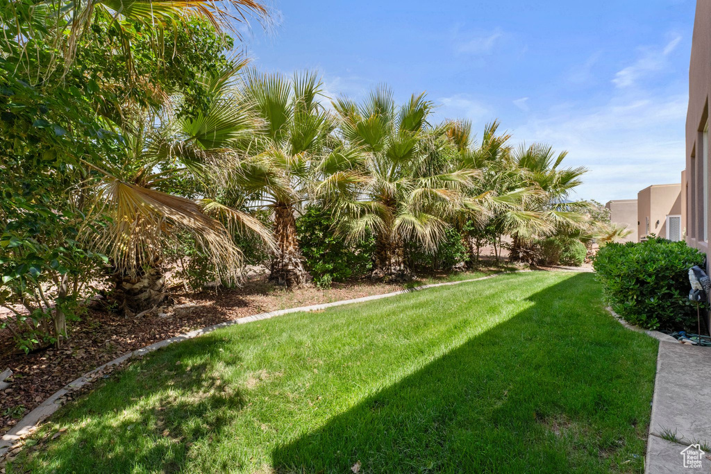 View of grassy yard