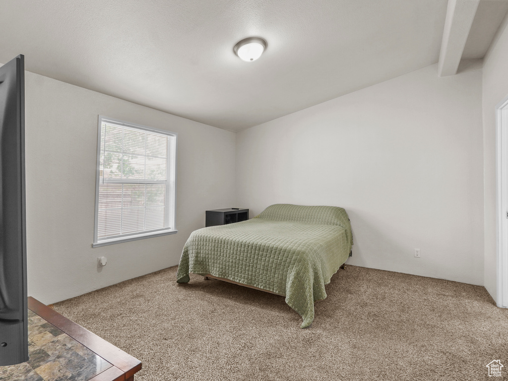 Bedroom featuring carpet floors