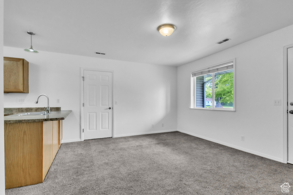 Kitchen with a sink, carpet, and baseboards