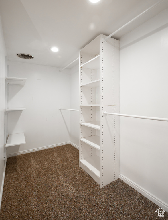 Walk in closet featuring carpet flooring
