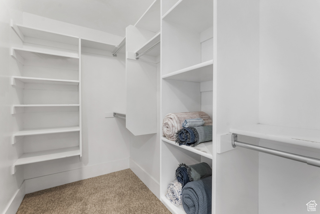 Spacious closet featuring carpet flooring