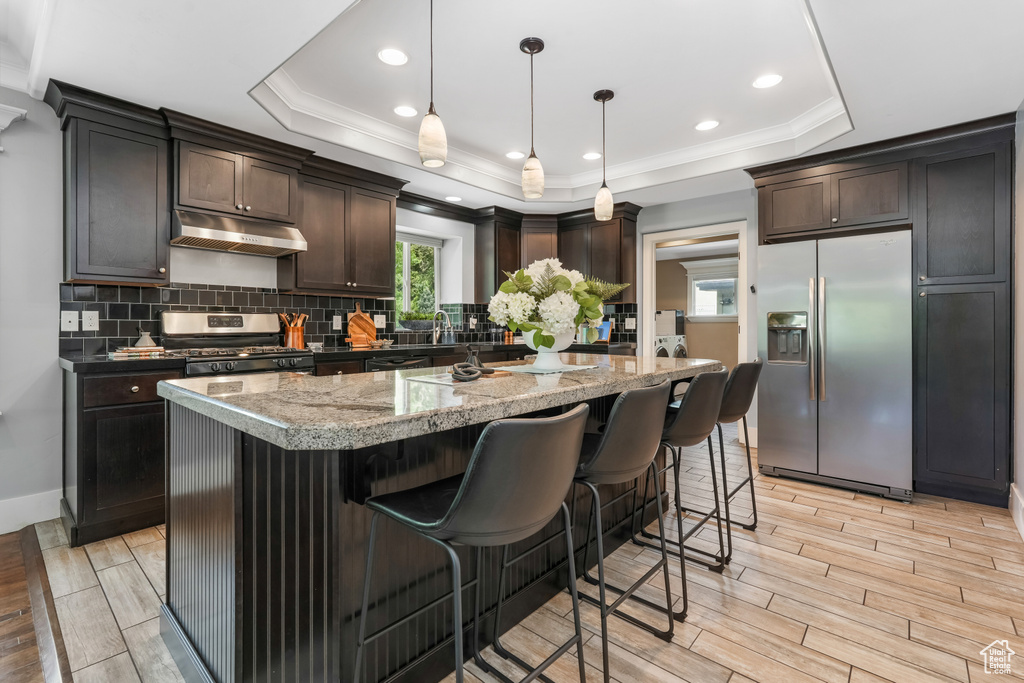 Kitchen featuring appliances with stainless steel finishes, under cabinet range hood, a raised ceiling, wood finish floors, and ornamental molding