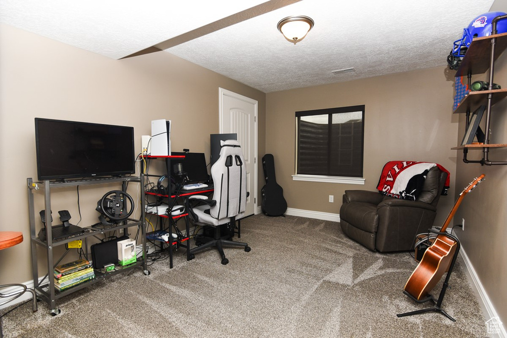 Home office featuring carpet, baseboards, and a textured ceiling