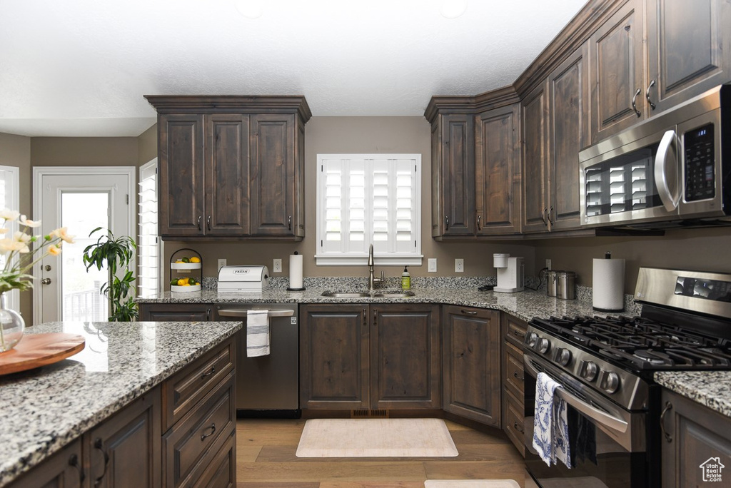 Kitchen with appliances with stainless steel finishes, a sink, light wood-type flooring, dark brown cabinetry, and plenty of natural light