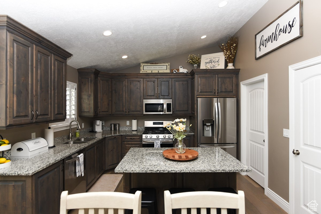 Kitchen featuring appliances with stainless steel finishes, a sink, dark brown cabinets, vaulted ceiling, and light stone countertops